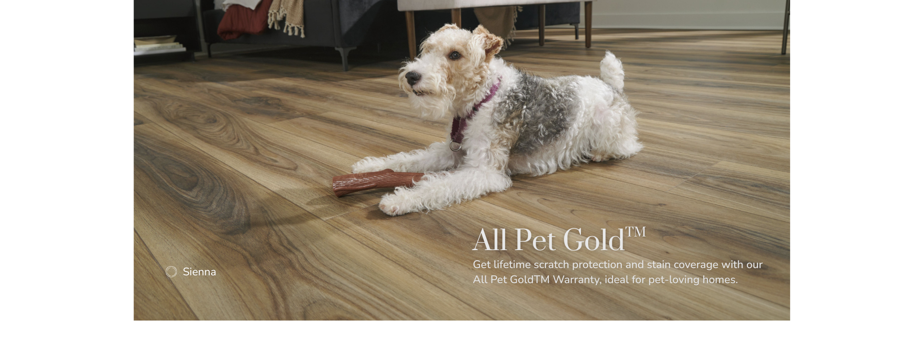Dog relaxing on Pet Friendly LuxeCraft Flooring by Karastan