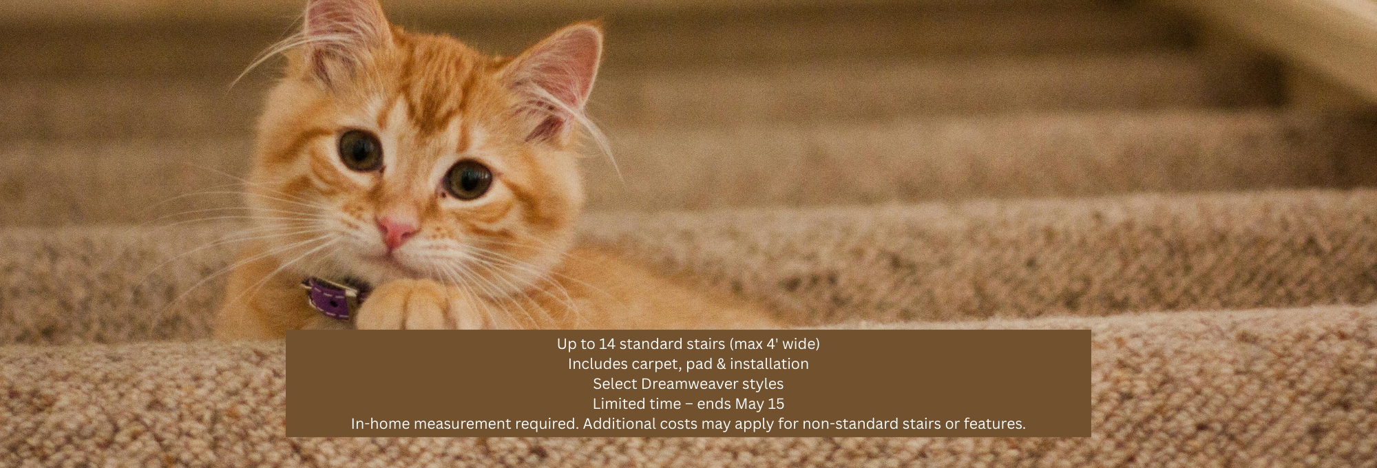 stair carpet installation $950 Dreamweaver carpet promotion professional stair flooring service